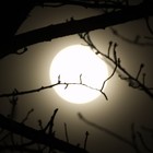 Picture for song 'Going Soon (without hook)' by artist 'Keize'