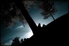 Picture for song 'Markize- Broken Sorrow' by artist 'Markize'