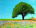 Picture for song 'Summertime' by artist 'Mark V'