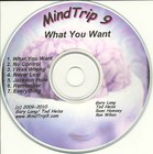 Picture for song 'What You Want' by artist 'MindTrip 9'