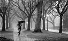 Picture for song 'The Rain Is Falling | Free Download' by artist 'Mr.Kooman'
