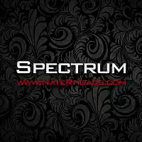 Picture for song 'Spectrum (FREE DL)' by artist 'Nate Rhoads'