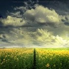 Picture for song 'Blue Rain (free download)' by artist 'Not HollyWood Production'