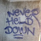 Picture for song 'Never Hold Me Down (100Miles)' by artist 'NuSenze'