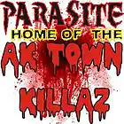 Picture for song 'WERE NOT THAT TYPE' by artist 'PARASITE RECORDS'