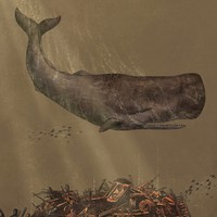 Picture for song 'Nantucket Junkyard: A Friend Of The Devil' by artist 'paul gorman and the hypnotist collectors'