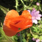 Picture for song 'Color & Contrast' by artist 'PRDClass'