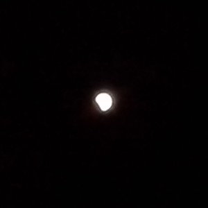 Picture for song 'Rue_Eclipse_In_You_Min?aqa,' by artist 'Queen Nefer Aset Titi Cleo She Bah and ?'
