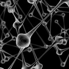 Picture for song 'Brain 2' by artist 'Ramon Castillo'