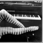 Picture for song 'PIANO PARTY' by artist 'Rastamaniek'