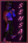 Picture for song 'Sensai' by artist 'Rockhoggle'