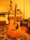 Picture for song 'Nashville tuned Neil Young Tribute' by artist 'RWsBluez'
