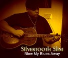 Picture for song 'Walkin Blues' by artist 'Silvertooth Slim'
