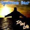 Picture for song 'In My Life' by artist 'Synchronic Beat'