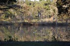 Picture for song 'Foggy Bayou' by artist 'The Batture'