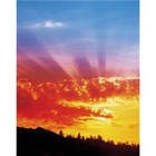 Picture for song '07 Now I Will Arise.MP3' by artist 'The Living Word'