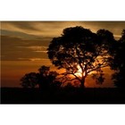 Picture for song '11 MY FRIEND JOEL.MP3' by artist 'The Living Word'