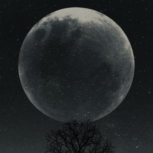 Picture for song 'victim of your folly' by artist 'TheOffsaint'
