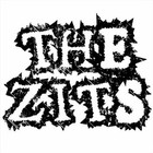 Picture for song 'Choking on the System' by artist 'The Zits'