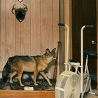 Picture for song ''Something, Anything'' by artist 'Tim Green'