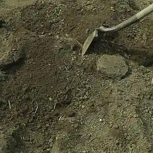 Picture for song 'Deeper Still (2019)' by artist 'Timoteo'