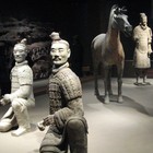 Picture for song 'G.I. Blues' by artist 'Tony Travis- Rock-a-Billy King'