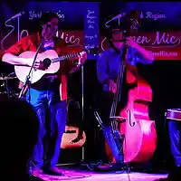 Picture for song 'Delta Plane' by artist 'Treeline'