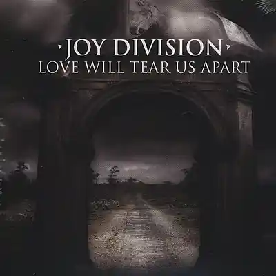 Picture for song 'love will tear us apart' by artist 'Veso Lukovic'