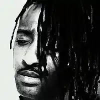 Picture for song 'Dumb it Down (Mastered)' by artist 'V.I.N. Sane'