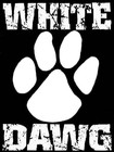 Picture for song 'HATE THIS' by artist 'WHITE DAWG MUSIC'