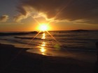 Picture for song '**While I'm Gone**' by artist 'xXLoneWolfAudiosXx'