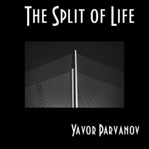Picture for song 'The Split of Life' by artist 'Yavor Parvanov'