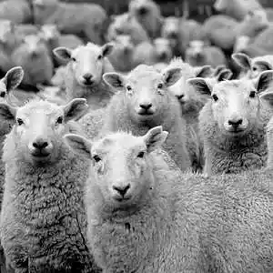 Picture for song 'PERSONALITY guitar hip hop type Beat' by artist 'Zalfprod'