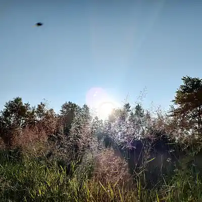 Picture for song '20240721_165409_A_who_fs düster...' by artist '786 scheint-Al'lahs Bande'