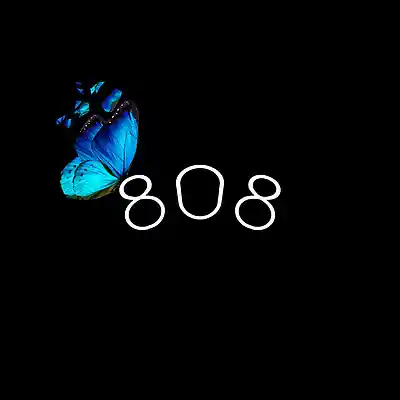 Picture for song '808 Flute' by artist 'Basneit'