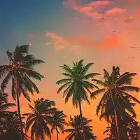 Picture for song 'California Trees (Prod By JBreezz) ' by artist 'JBreezzBeatz'