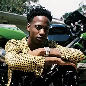 Picture for song 'Raven (yung mal type beat)' by artist 'Maori Beats'