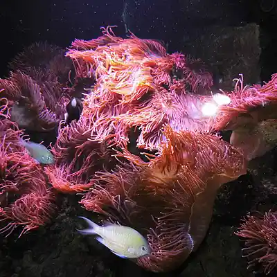 Picture for song 'Diskretion 10 (Remix)' by artist 'Restsound'