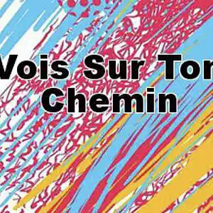 Picture for song 'Vois Sur Ton Chemin (Les Choristes) mixup' by artist 'Seki Kush'