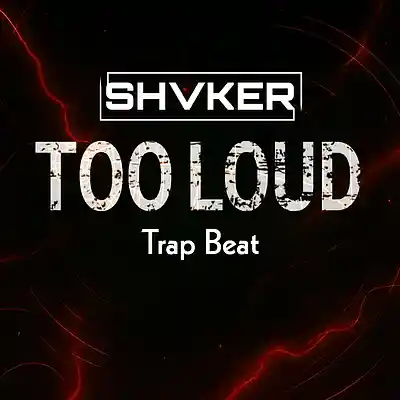 Picture for song 'Too Loud' by artist 'shvker beats'