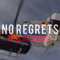 Picture for song 'No Regrets | PND | FREE DL' by artist 'The Siinergy'
