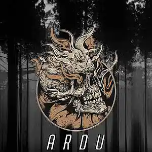 Picture for song 'ARDU' by artist 'N a v i k'
