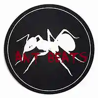 Picture for song 'Snap Dogg Type Banger ' by artist 'Ant Beats'