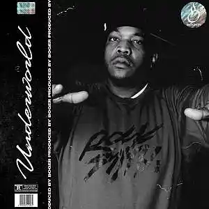 Picture for song 'Underworld (Dark East Coast Type Beat)' by artist 'BOGER'