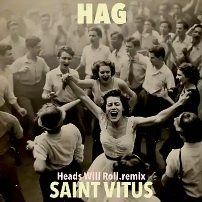 Picture for song 'Saint Vitus (Heads Will Roll.remix)' by artist 'HAG of Boston'