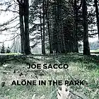 Picture for song 'Alone In The Park' by artist 'Joe Sacco'