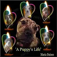 Picture for song 'A Puppy's Life' by artist 'Maria Daines'