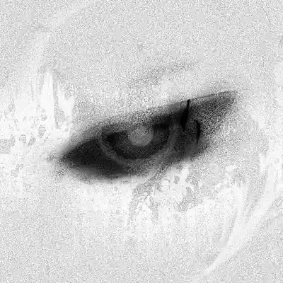 Picture for song 'Dark Emotional Trap Type Beat - Immortal' by artist 'OceanBoyBeatz'