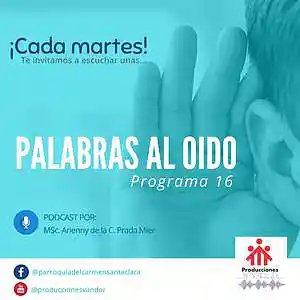 Picture for song 'Palabras al oído - Programa 16' by artist 'Producciones Vandor'