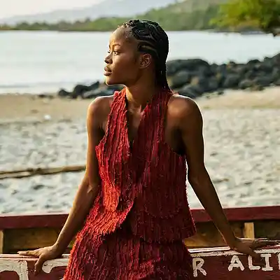Picture for song 'AFRO RNB X AFRO BEAT-SIERRA LEONE' by artist 'producerbaro'